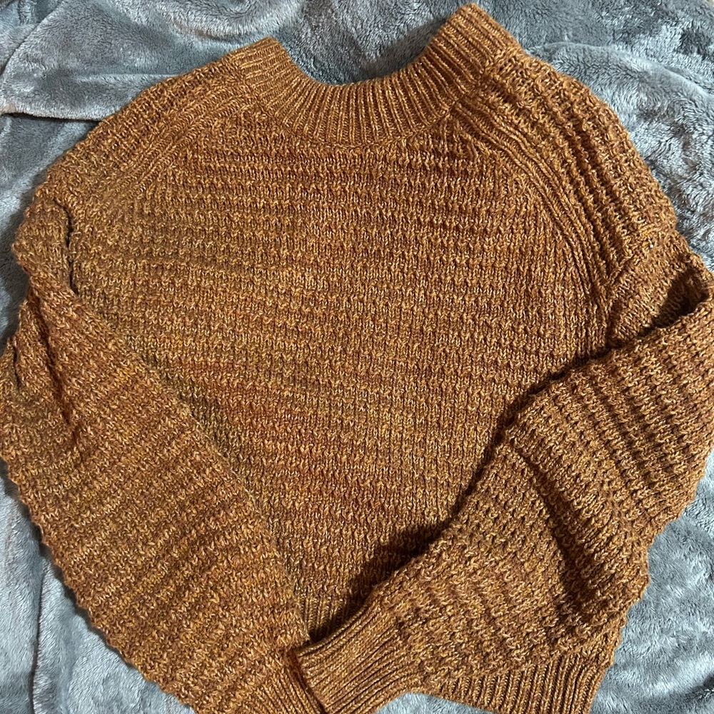Brown Woman’s XS Sweater